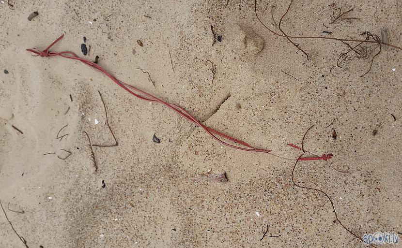 Nozaudēta kaklarota Autors: pyrathe Ar metāla detektoru pa pludmali 2018 (jūlijs) #1