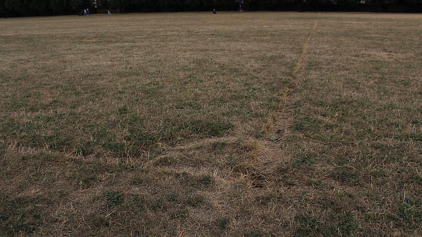  Autors: rolands 2 Bildes - The Racecourse Park (pēc 20 dienu karstuma)