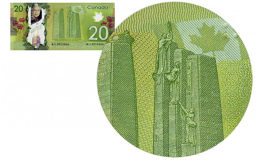 Kanādas dolāra banknote ir... Autors: ĶerCiet „Pornogrāfija” uz dažādu valstu naudas zīmēm
