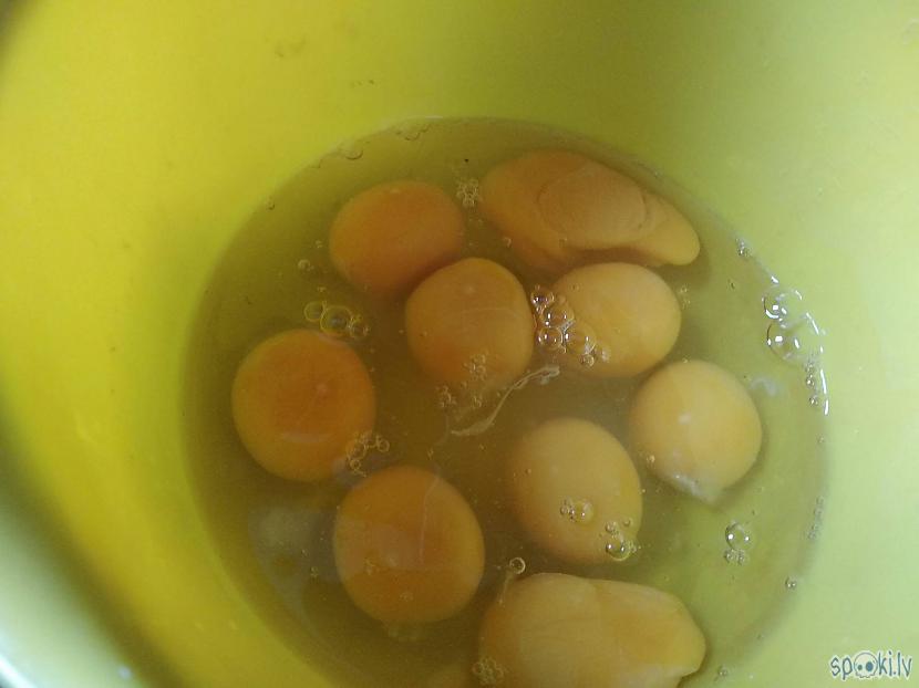 Sakuļam olas omletes masā Autors: Werkis2 Olu kultenis ar pienu un tvaicētiem brokoļiem