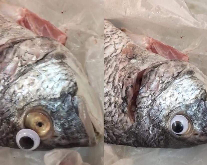 Pārdevēja negodīgo rīcību bija... Autors: pyrathe Pārdevējs pielīmē zivīm plastmasas acis, lai apmānītu pircējus