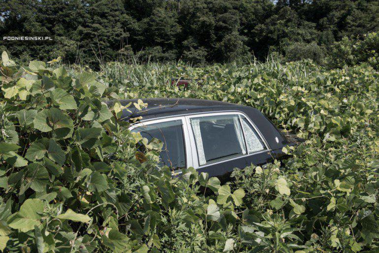Pamestu auto pamazām aprij... Autors: ĶerCiet Daba pamazām pieveic Fukušimas avārijas teritoriju. Līdz šim neredzēti fotokadri