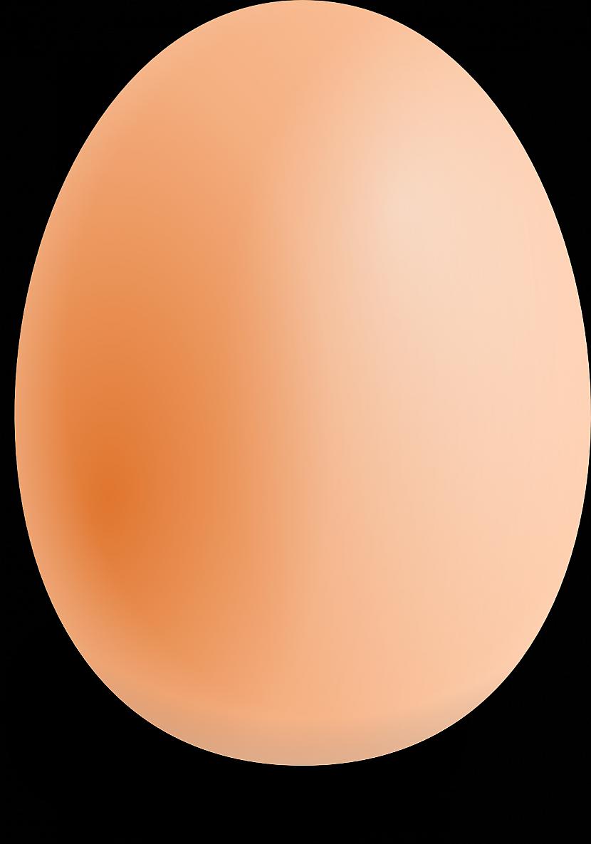 12 no vistas olas masas... Autors: Fosilija 16+ pārsteidzoši fakti