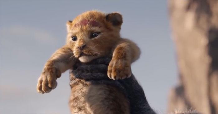 2019 gadāVai Tu spēj... Autors: matilde «Karalis Lauva» 1994. gada filma pret 2019. gada filmu. Kura Tev patīk labāk?