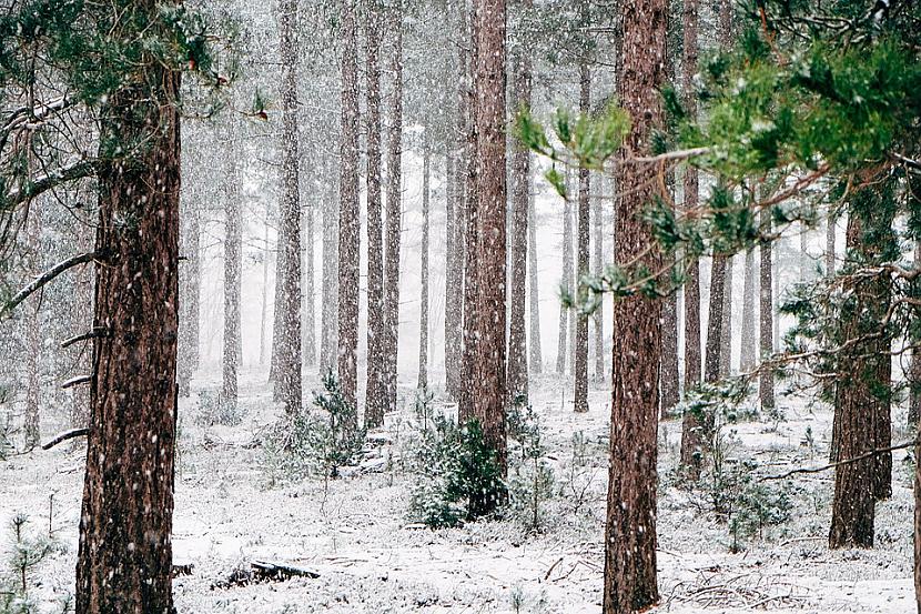 Foto PixabaycomBija ziema... Autors: The Diāna Desmit stāsti, kuri atjaunos Tavu ticību labajam cilvēkos