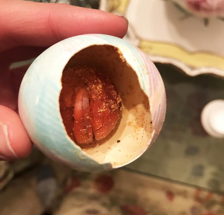 Tā izskatās Lieldienu ola kas... Autors: Lestets 19 fotogrāfijas, kas var likties kā atklāsme