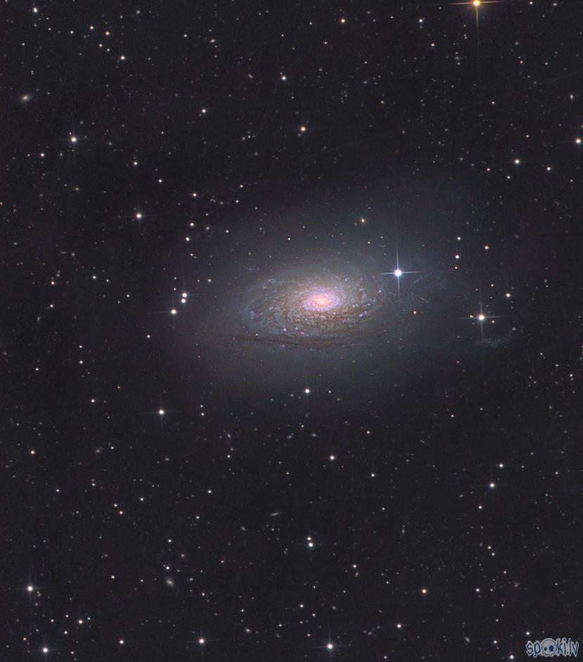 M63 Jeb Saulespuķes galaktika... Autors: peleks Astrofotogrāfēšana 3.daļa
