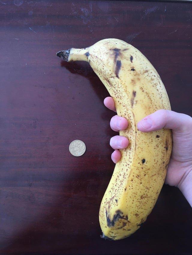 nbspRe kabača lieluma banāns Autors: matilde 25 reizes, kad māte daba mazliet sajauca augļus ar dārzeņiem