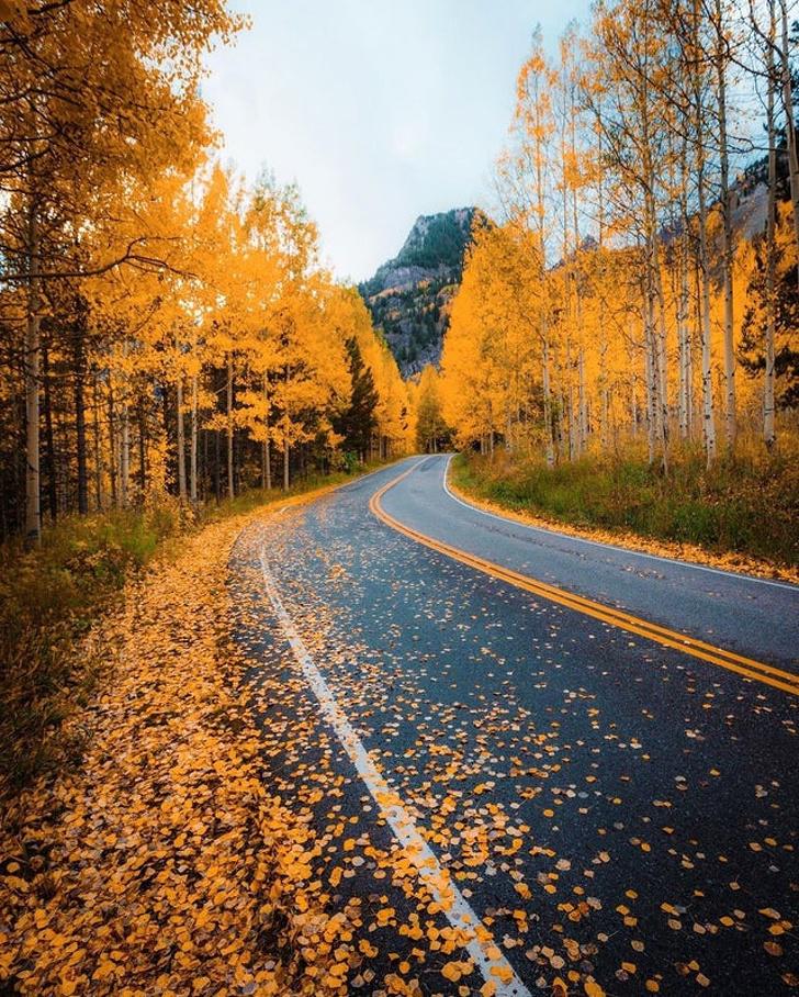 nbspKolorado ASVnbsp Autors: Lestets Kā izskatās rudens apkārt pasaulei?