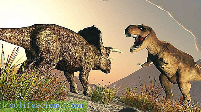 Kas notika ar dinozauriemPirms... Autors: Fosilija Vai dinozauri ēda cilvēkus?
