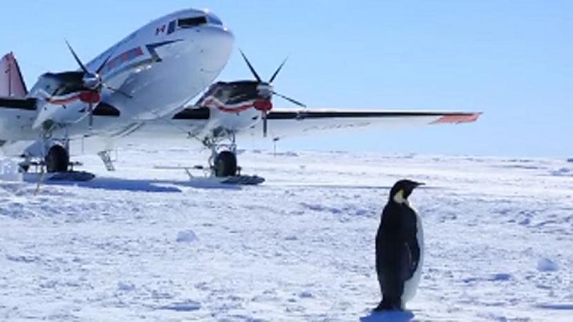 nbsp2 Daudzu valstu lidlauki... Autors: Lestets 16 lietas, par kurām tu nezināji, ka tās eksistē Antarktīdā