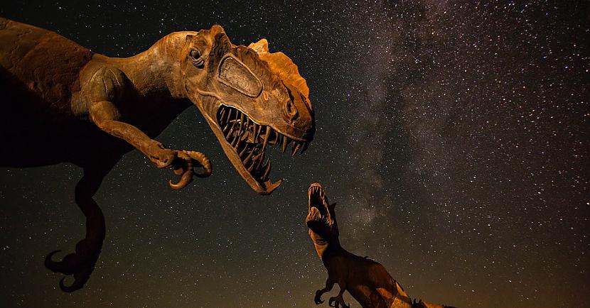 nbspTiranozauri ir... Autors: Lestets 10 nejauši fakti no nekad neuzrakstītās faktopēdijas