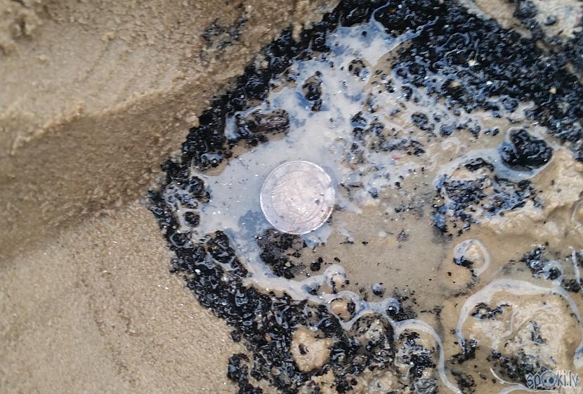 Pie pascarona ūdens Autors: pyrathe Ar metāla detektoru pa pludmali 2019 (oktobris)