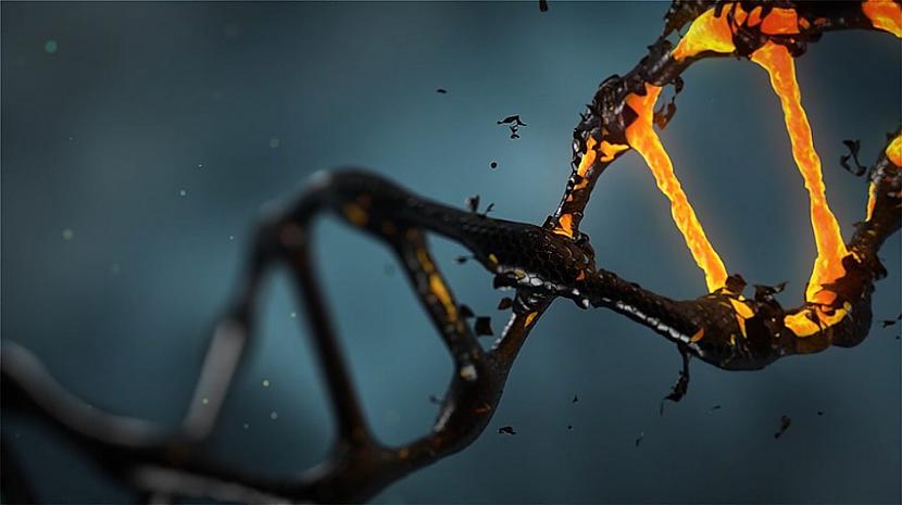 nbspDzīves laikā var notikt... Autors: Lestets 10 fakti par gēniem, kas var izskaidrot visu mūsu dzīvi
