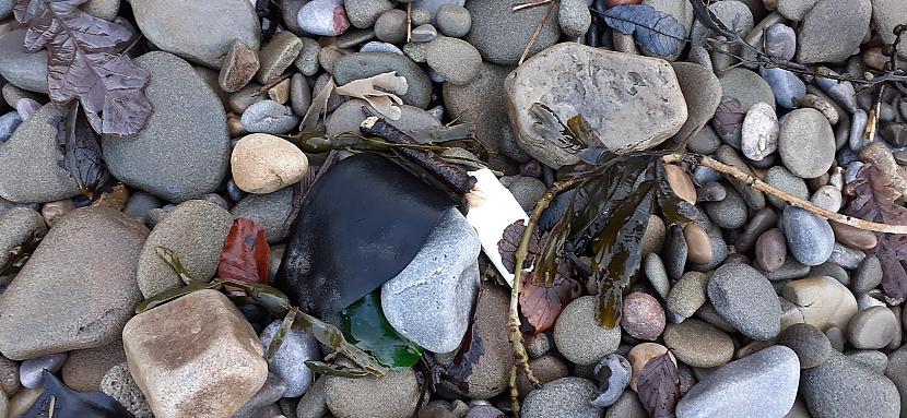  Autors: Griffith Šodiena, Dunraven Bay & Ogmore By Sea, Southerndown, Wales.