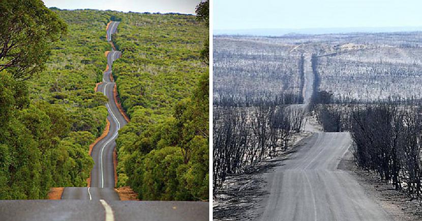 nbspĶenguru salaTraģiskāku to... Autors: Lestets 19 fotogrāfijas no Austrālijas: Pirms un pēc mežu ugunsgrēkiem