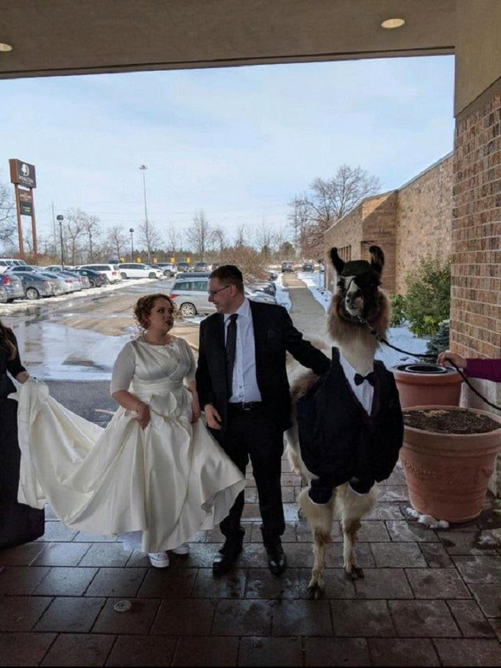 Lama kāzāsPirms scaronīs... Autors: Lestets 19 dīvainas un neparastas fotogrāfijas