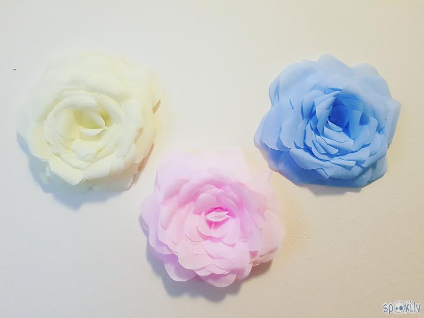  Autors: aniii7 Lai zied rozes