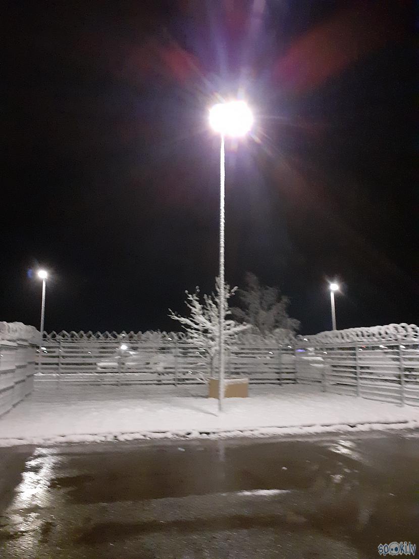 Autors: Drakonvīrs Agrs ziemas rīts - 01:30 Latvijas Pasta pagalmā