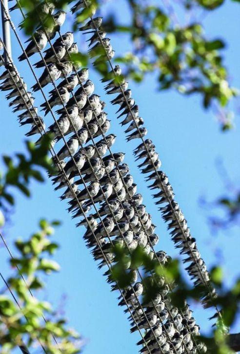  Tu zini mana sieva brauc kā... Autors: Fosilija Joku asorti jeb veselīga smieklu deva jautrākai dienai (14.04.2020)