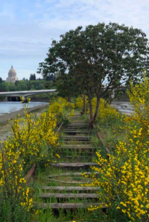  Autors: Fosilija Kad daba uzvarēja cīņā pret civilizāciju... 🌳🌴🍀