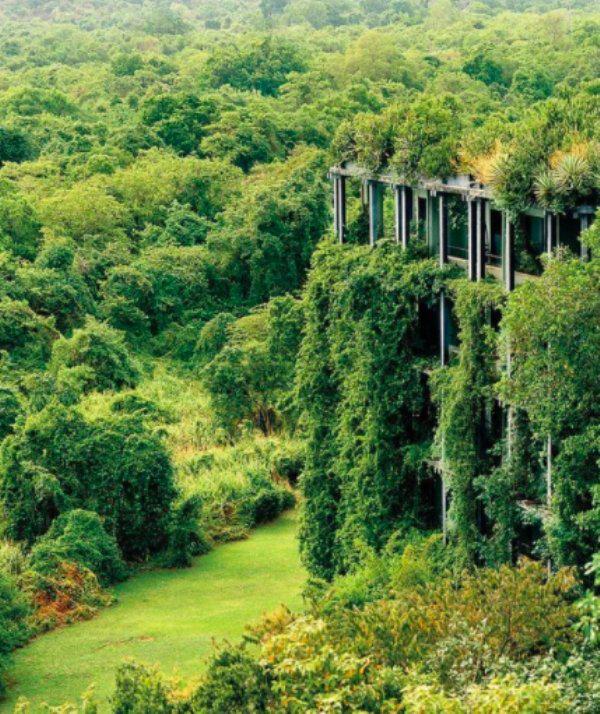  Autors: Fosilija Kad daba uzvarēja cīņā pret civilizāciju... 🌳🌴🍀