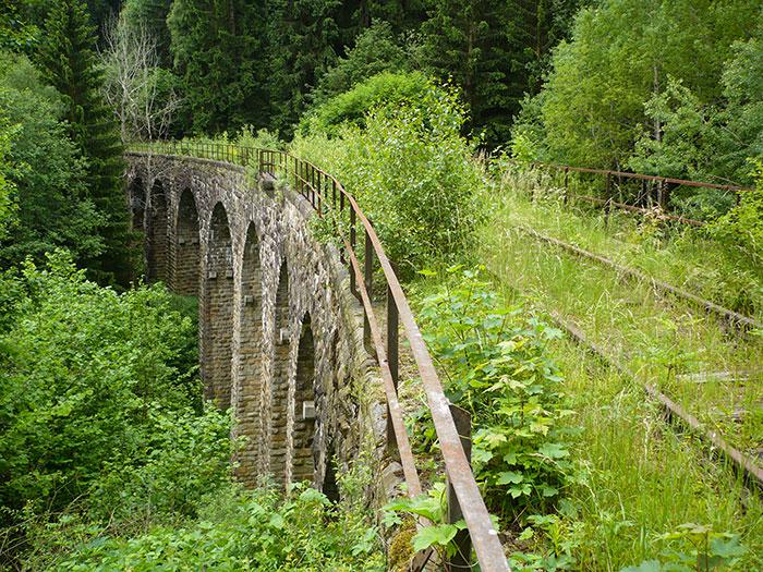  Autors: Fosilija Kad daba uzvarēja cīņā pret civilizāciju... 🌳🌴🍀