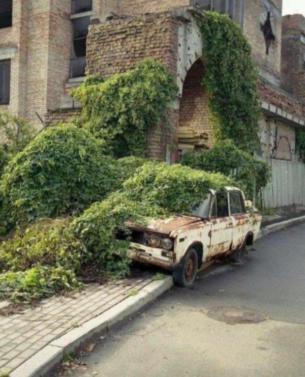  Autors: Fosilija Kad daba uzvarēja cīņā pret civilizāciju... 🌳🌴🍀