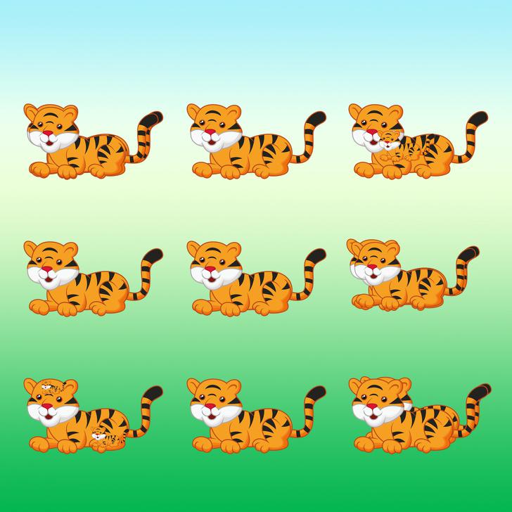 Cik tīģeru ir scaronajā attēlā Autors: matilde Tests: Vai vari saskaitīt, cik dzīvnieki ir paslēpušies šajos 15 attēlos?