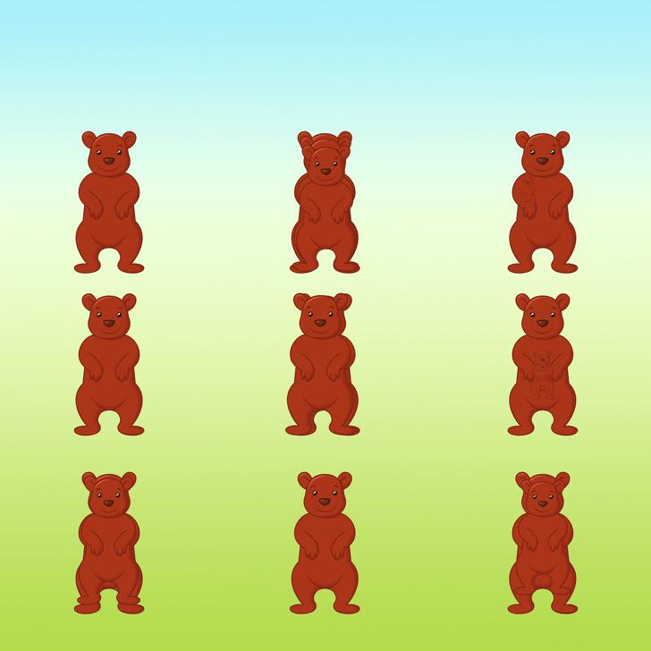 Cik lāču ir scaronajā attēlā Autors: matilde Tests: Vai vari saskaitīt, cik dzīvnieki ir paslēpušies šajos 15 attēlos?