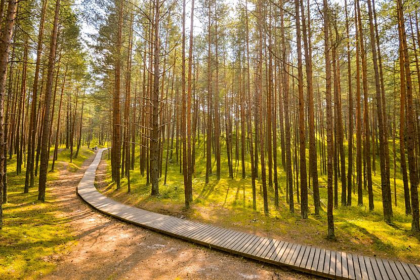 Ragakāpas dabas parksRagakāpas... Autors: matilde Apceļo Latviju: 8 dabas parki un takas saulaino brīvdienu baudīšanai