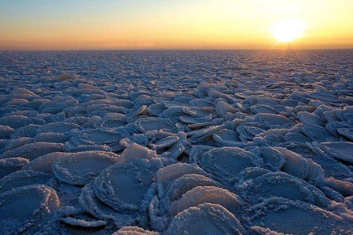 Pankūku ledus Autors: Lestets 25 spēcīgas fotogrāfijas, kurām nevajadzēja fotošopa palīdzību