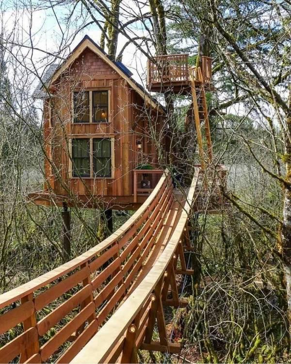  Autors: Fosilija Daudziem bērnībā bija sapnis, uzbūvēt jauku mājiņu kādā netālā kokā