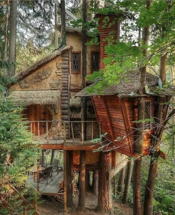  Autors: Fosilija Daudziem bērnībā bija sapnis, uzbūvēt jauku mājiņu kādā netālā kokā