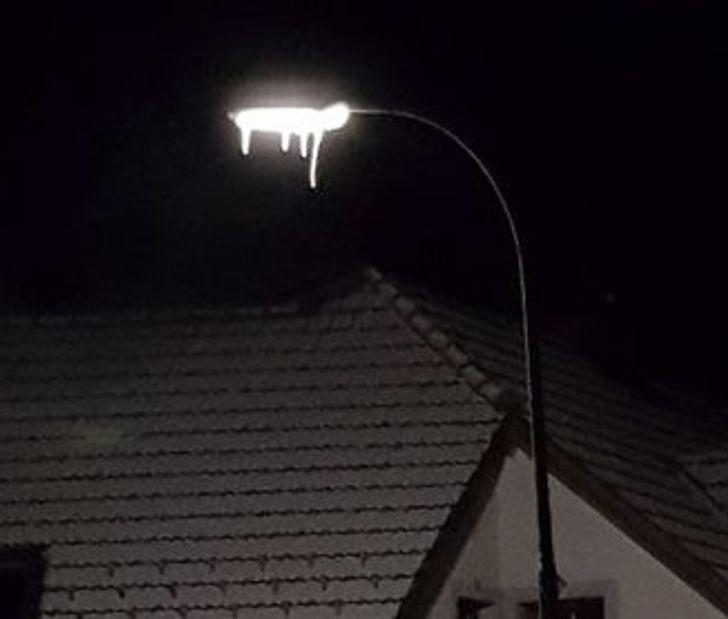 Sniegs un lampa veido... Autors: Lestets 15 reizes, kad dzīve parādīja, ka tā var būt neprognozējama