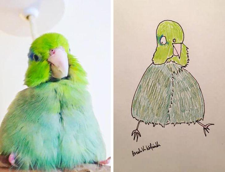  Autors: matilde Par interneta slavenību kļūst vīrietis, kurš neprot zīmēt dzīvnieku portretus