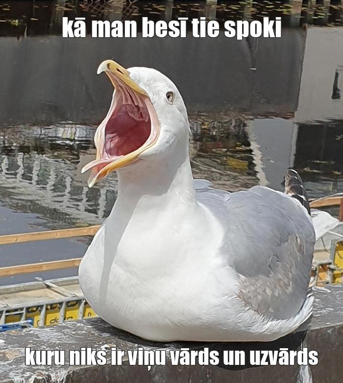  Autors: Spokucis Memes