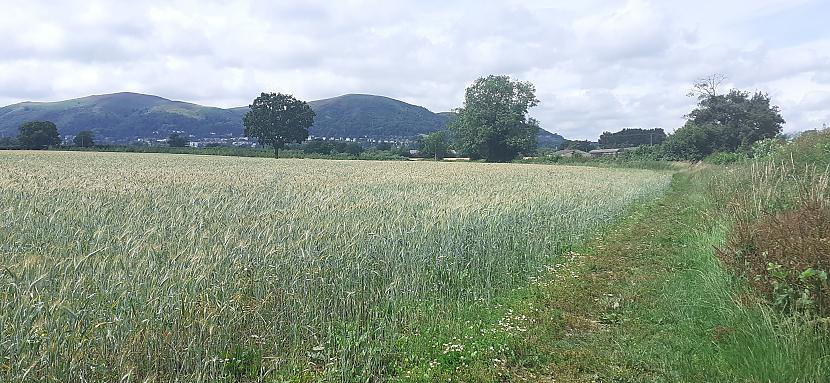  Autors: Griffith Jūlijs laukos, Malvern UK.