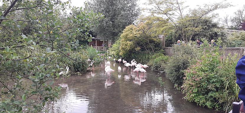  Autors: Griffith Bourton-on-the-water 1/2