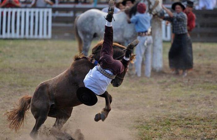  Autors: Zibenzellis69 Spilgti un šokējoši rodeo mirkļi (30 fotoattēli)