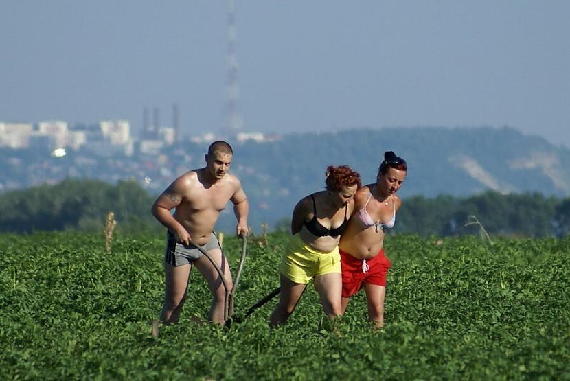 Lauku darbi Krievijas tālajā... Autors: Zibenzellis69 Fotogrāfijas no Krievijas plašumiem: citas tādas valsts nav (30 bildes)