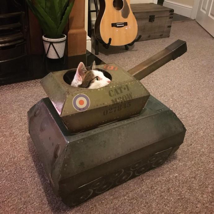  Autors: matilde Galerija: «Kas tankā? Kaķis tankā!»