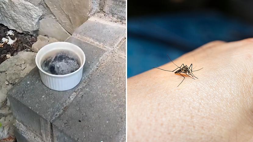  laquoTikTokraquo lietotāja... Autors: matilde Efektīva metode, kā cīnīties pret odiem vasarā