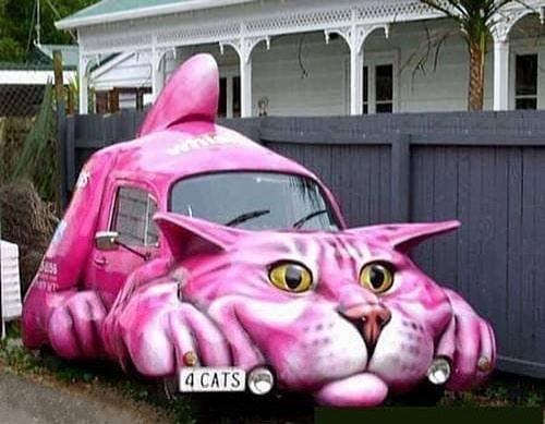 Vēl viens kaķu mīļotāja auto Autors: Zibenzellis69 25 neparastas automašīnas, kurām ir grūti pabraukt garām bez smaida un izbrīna