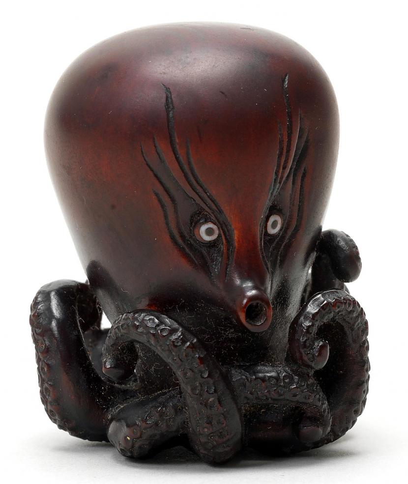 No koka izgrebta astoņkāja... Autors: Zibenzellis69 20 pārsteidzoši vēsturiski artefakti, kas ir saglabājušies līdz mūsdienām