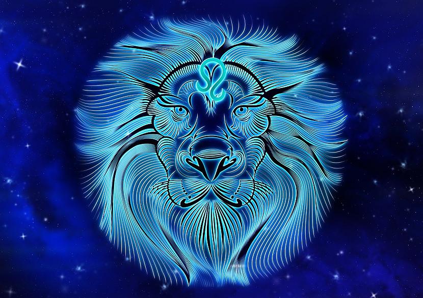 Lauva  filozofsO jā Lauvam... Autors: Lestets Kā uzvedas katra Zodiaka zīme, kad ir piedzērusies