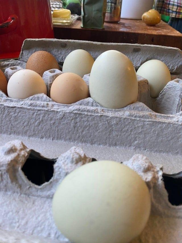 Pērkot olas tiescaroni no... Autors: Zibenzellis69 Šīs fotogrāfijas pierāda, cik pārsteidzoši neparastas  var būt pat vistu olas