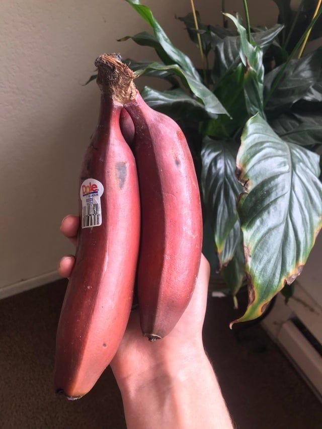 Sarkani banāni Autors: Zibenzellis69 15 fotogrāfijas ar lietām un augļiem, kas parādījās mūsu skatam neparastā krāsā