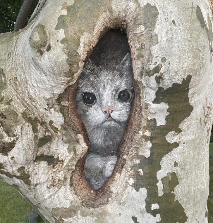 Kāds uzzīmēja kaķi uz kokaVai... Autors: Lestets 16 reizes, kad cilvēki piešķīra ikdienas lietām jaunu perspektīvu