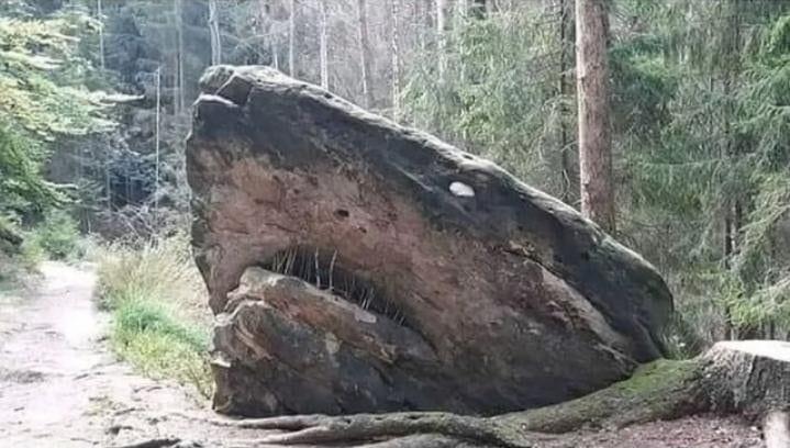 Scaronis akmens izskatās kā... Autors: Zibenzellis69 16 gadījumi, kad dažas lietas izskatījās aizdomīgi līdzīgas kaut kam citam